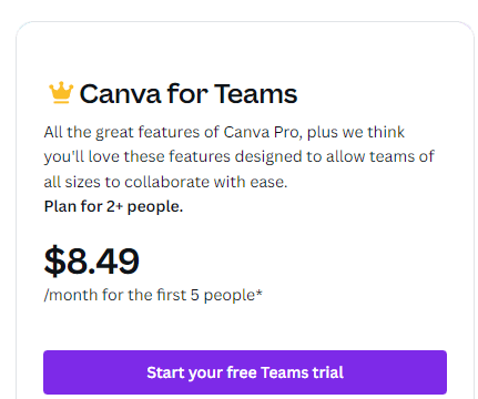 Canva for Teams 5 People